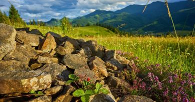 busy z hrubieszowa do szwajcarii