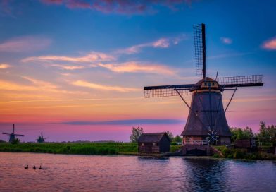 przewozy busami do holandii