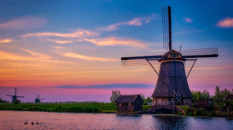 przewozy busami do holandii